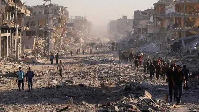 Search image article