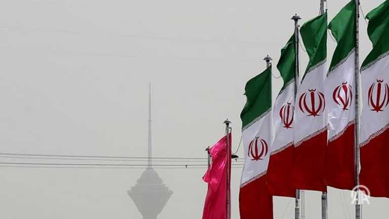 Search image article