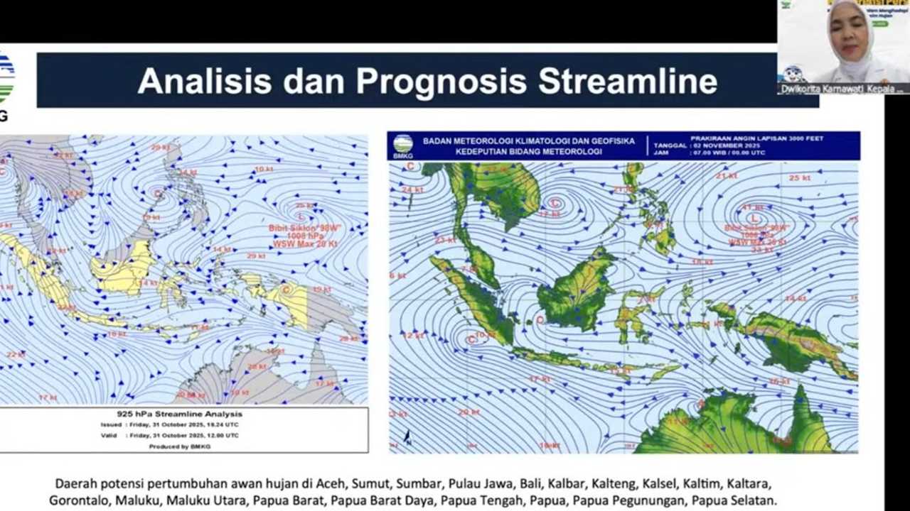 Search image article