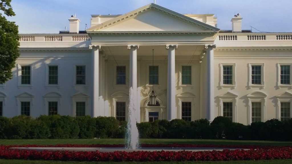 Search image article