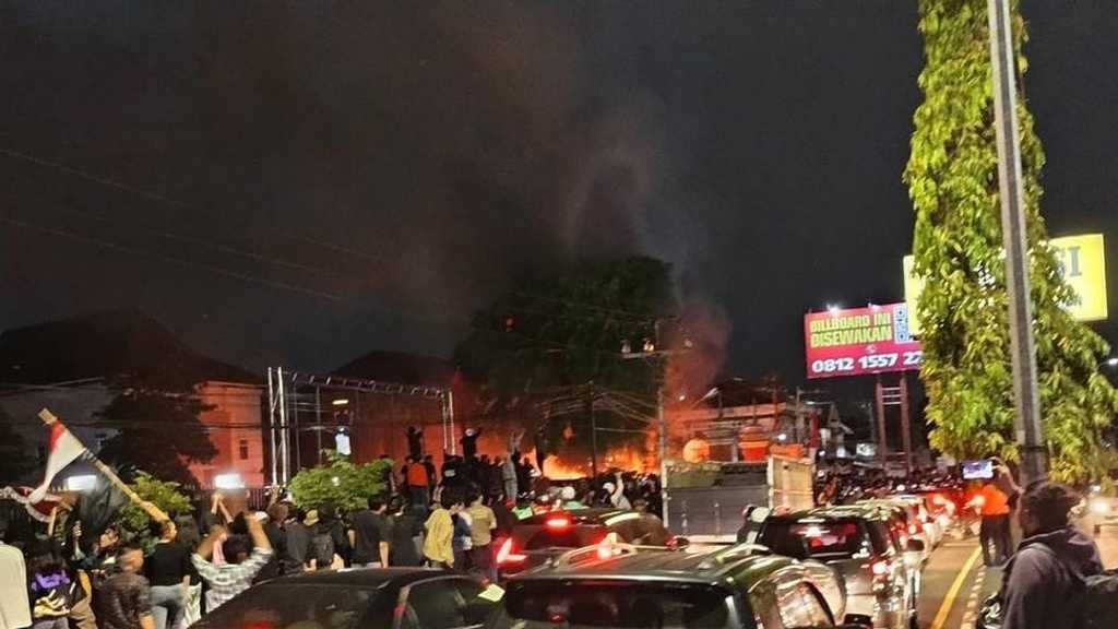 Search image article