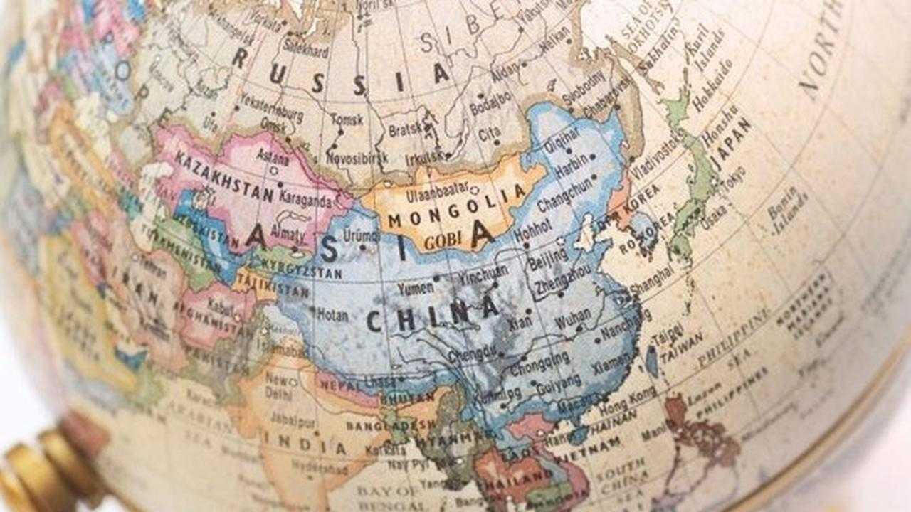 Search image article