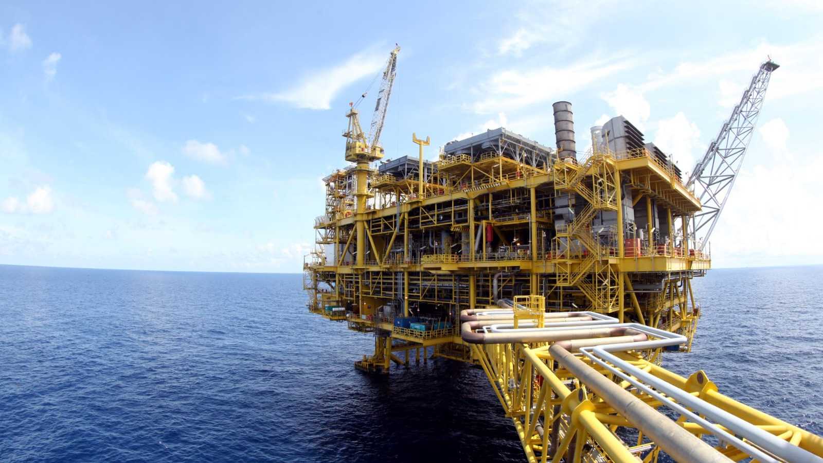 Search image article