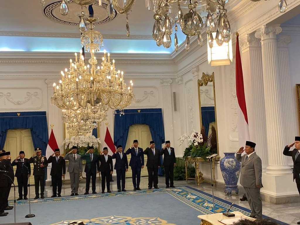 Search image article