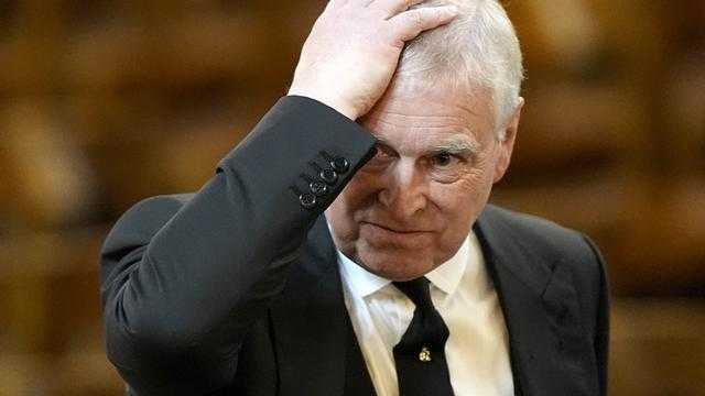 Search image article