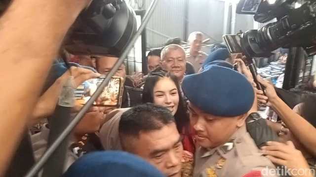 Search image article