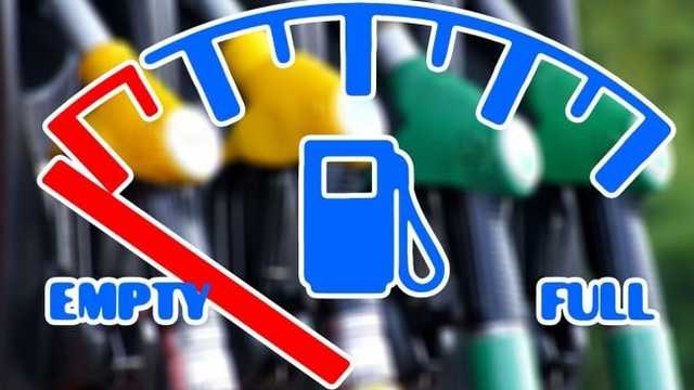 Search image article