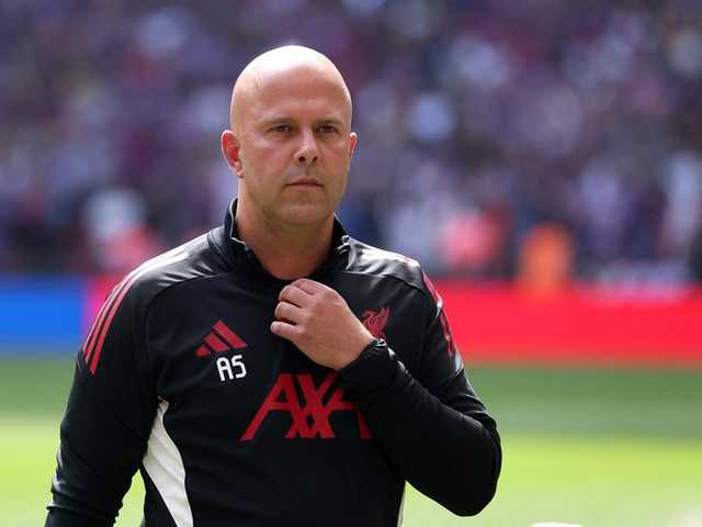 Search image article