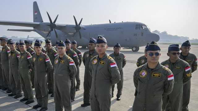 Search image article