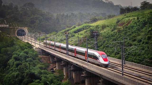 Search image article