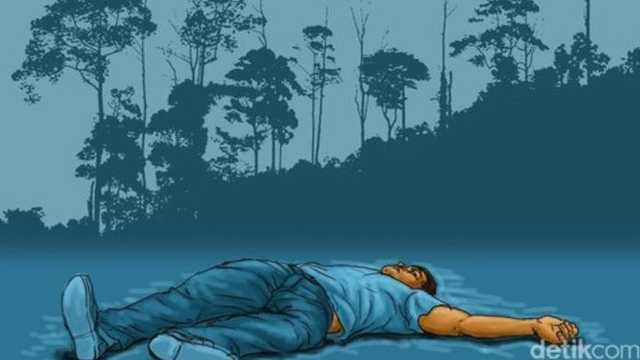 Search image article