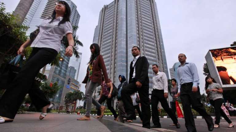 Search image article