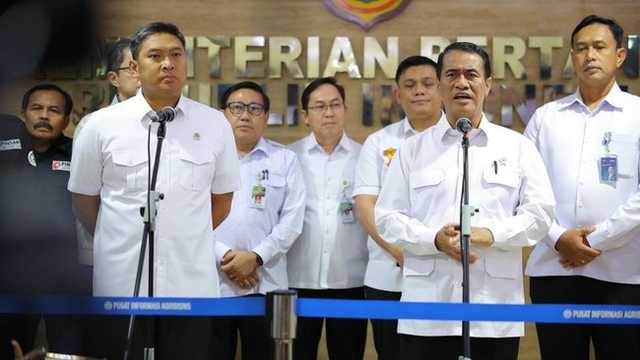 Search image article