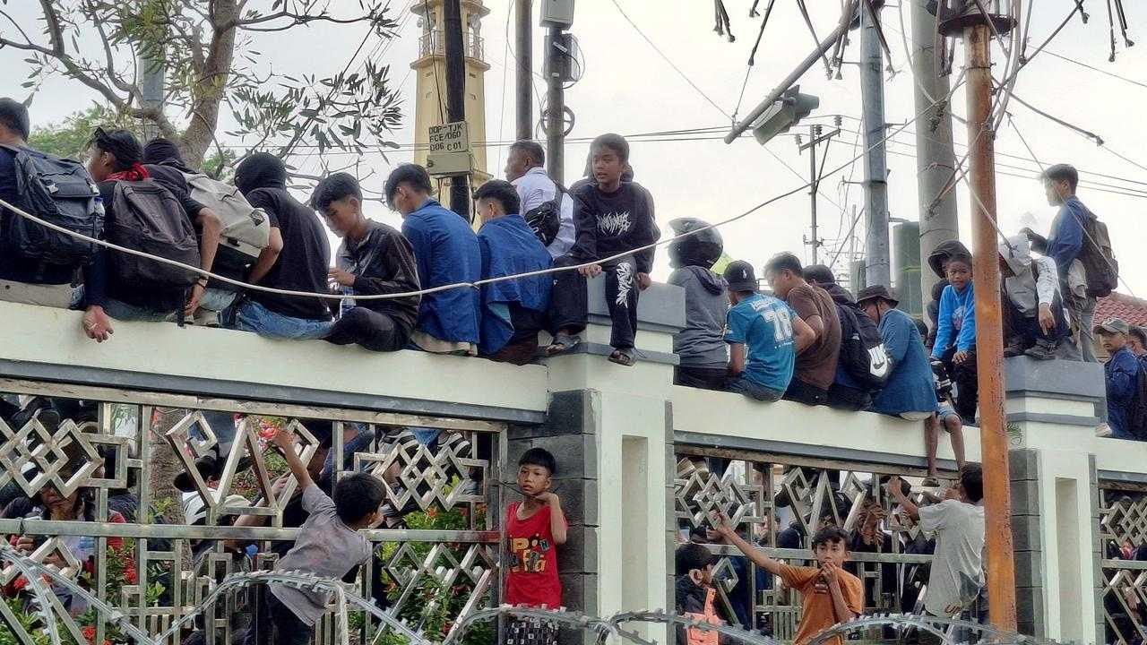 Search image article