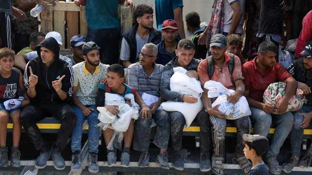 Search image article