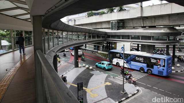 Search image article