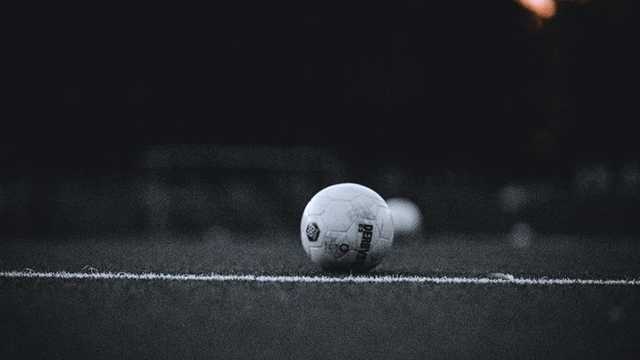 Search image article