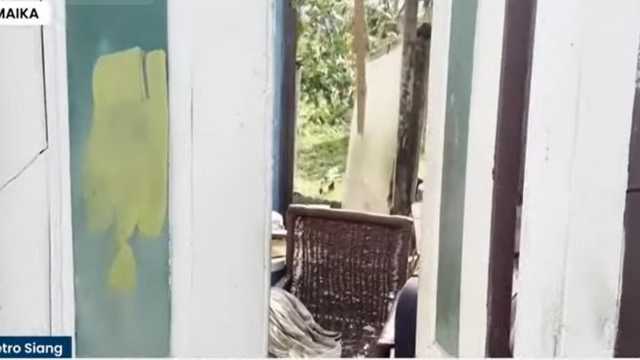 Search image article