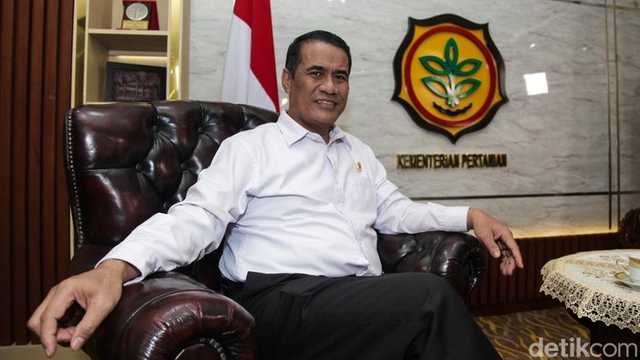 Search image article