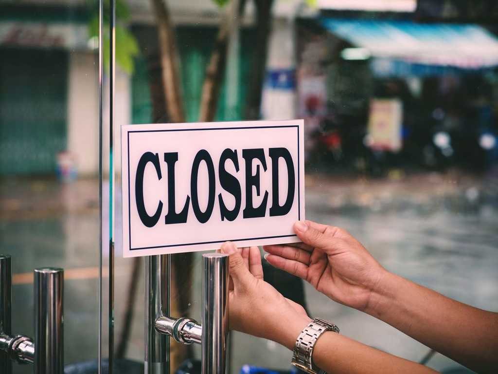 Search image article