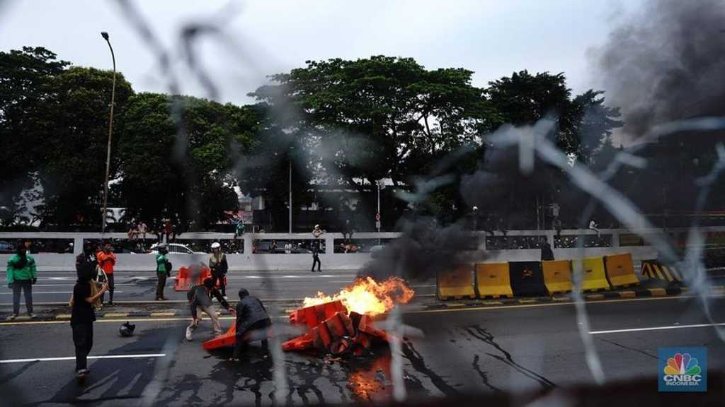 Search image article