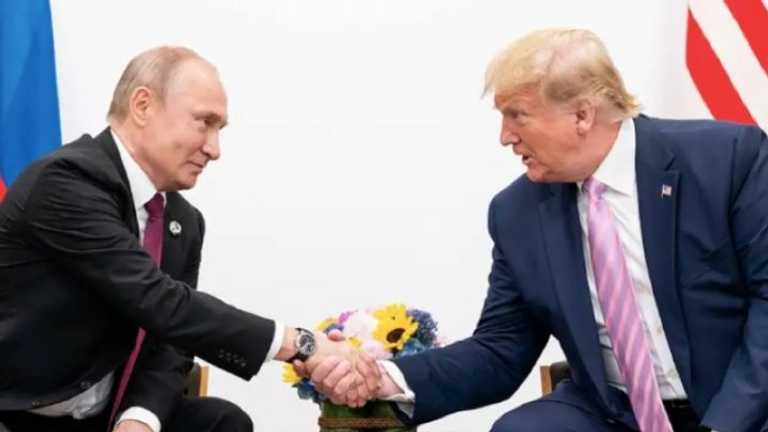 Search image article