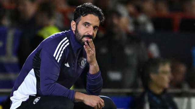 Search image article