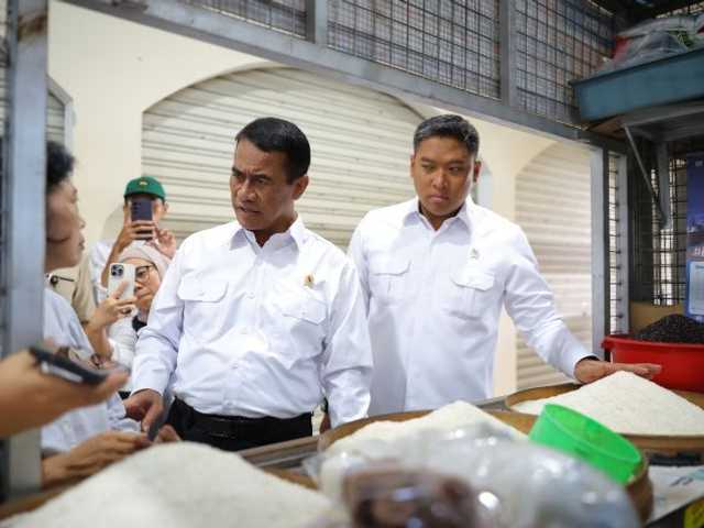 Search image article