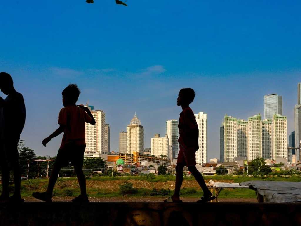 Search image article