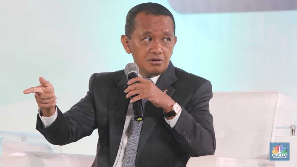 Search image article