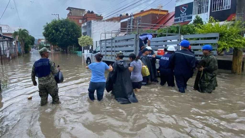 Search image article