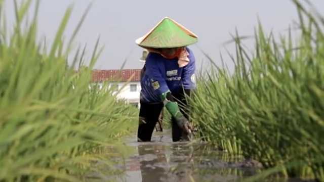 Search image article