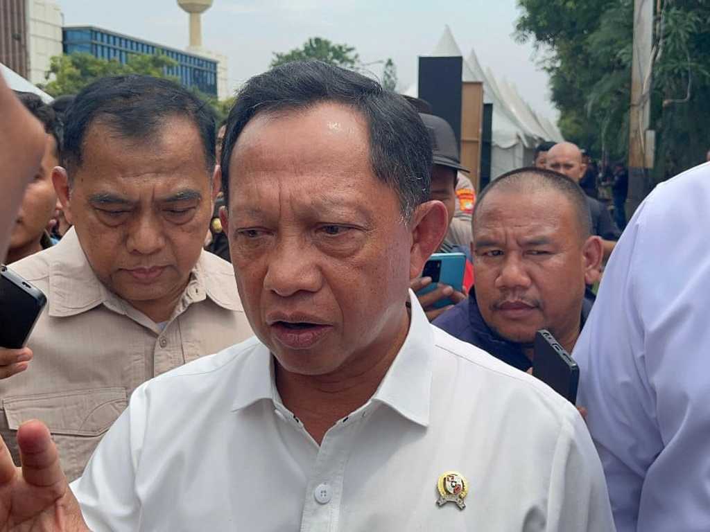 Search image article