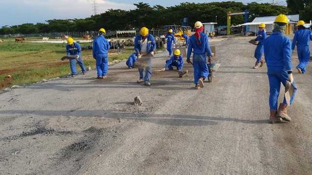 Search image article