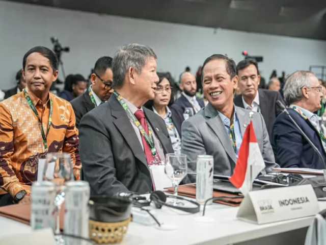 Search image article