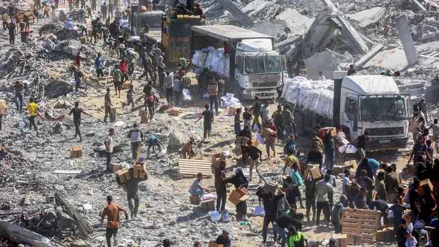 Search image article