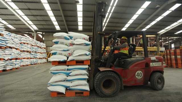 Search image article