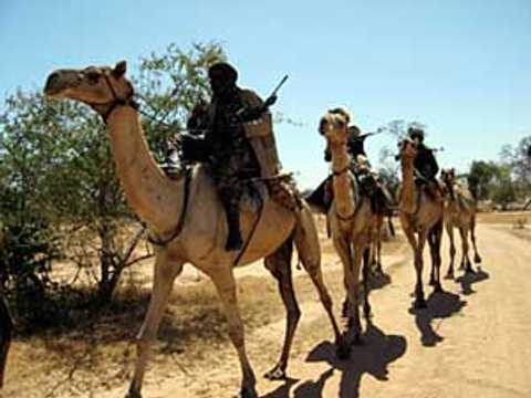 El-Fasher Geger: RSF Lakukan Pembantaian Massal, Jejak Janjaweed Terkuak