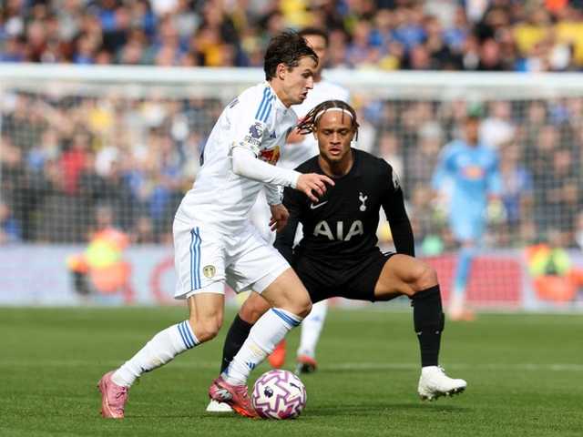 Search image article