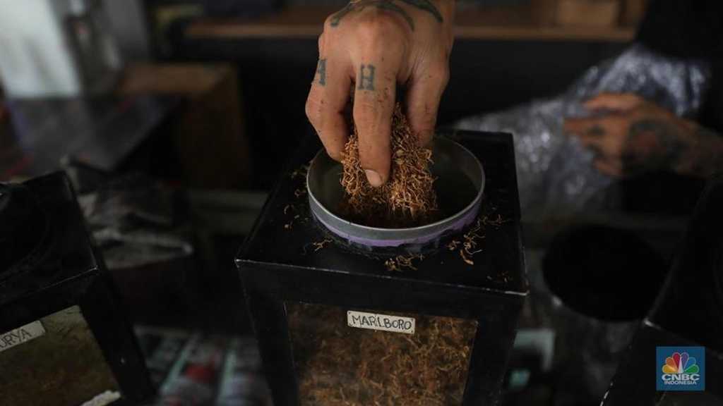 Search image article