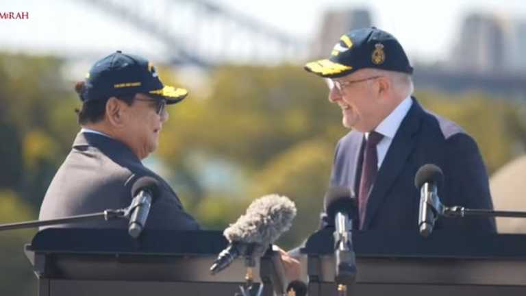 Search image article