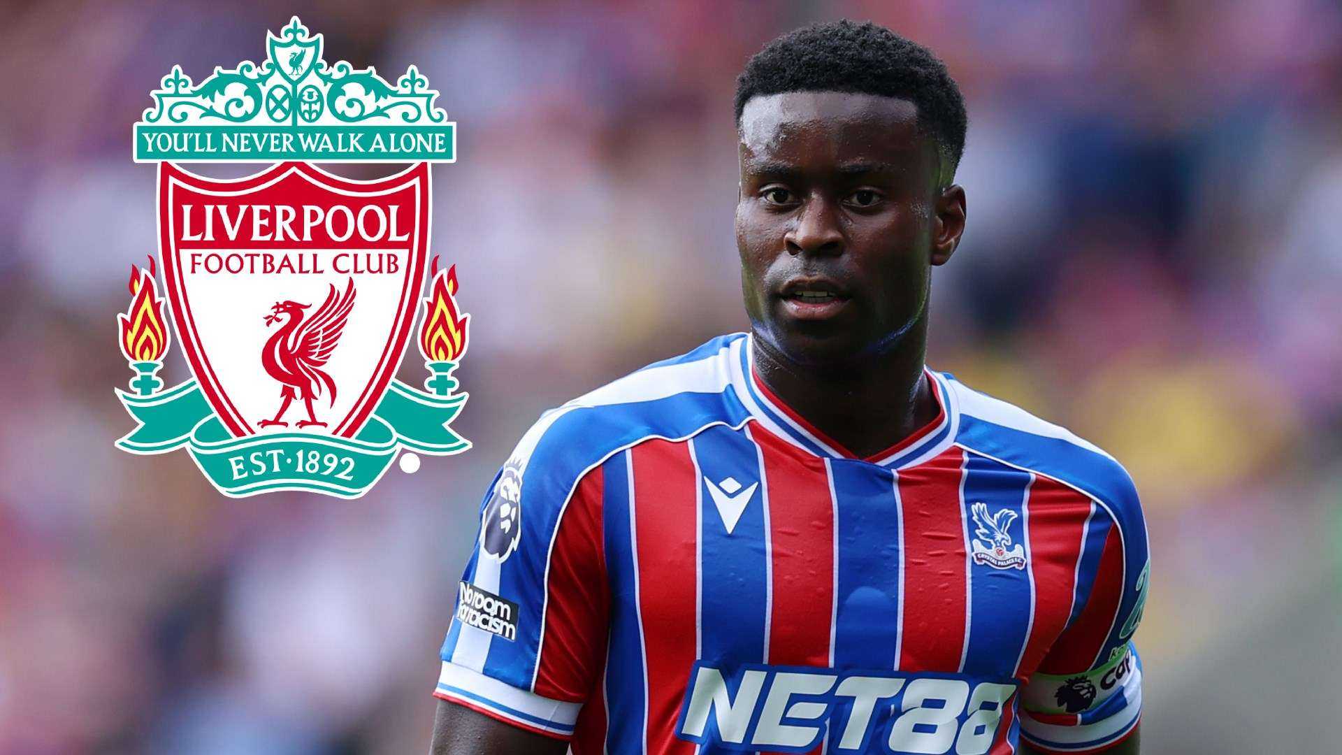 Search image article