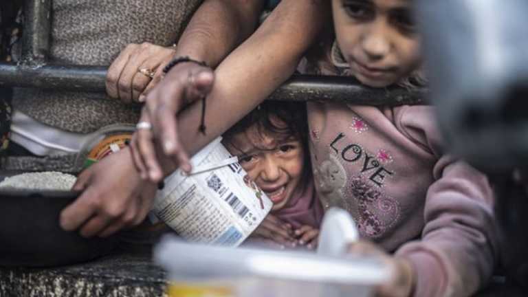 Search image article