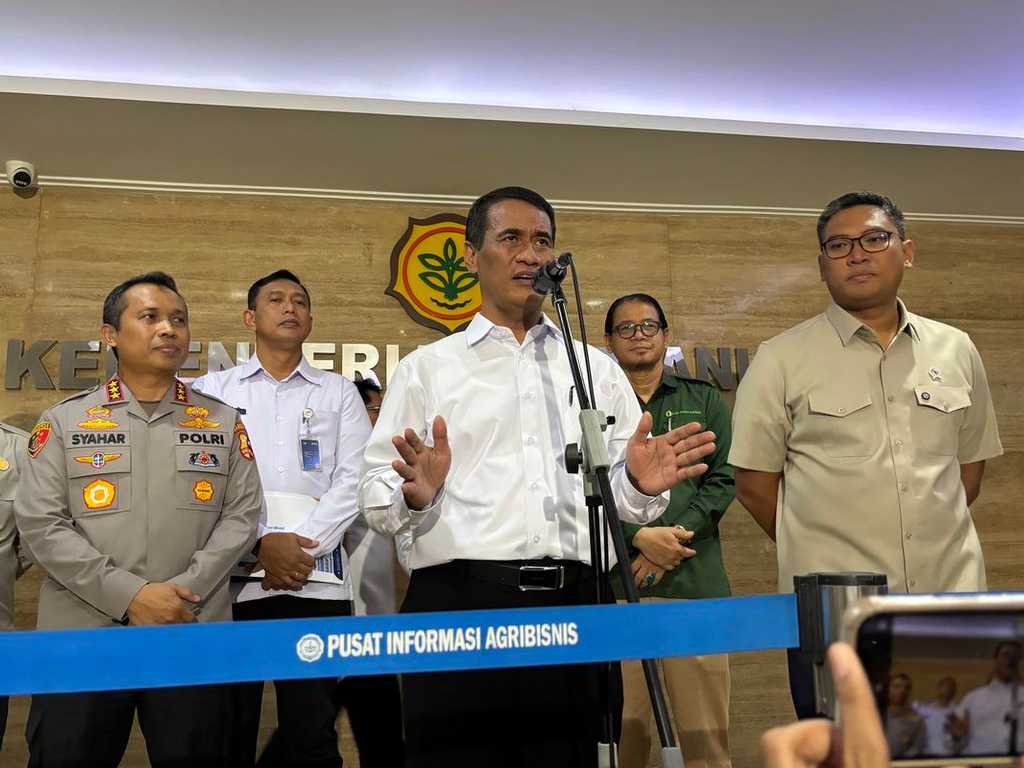 Search image article