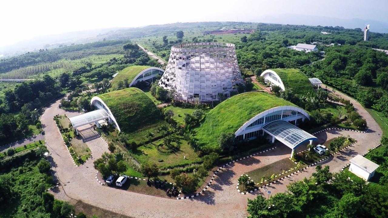 Search image article