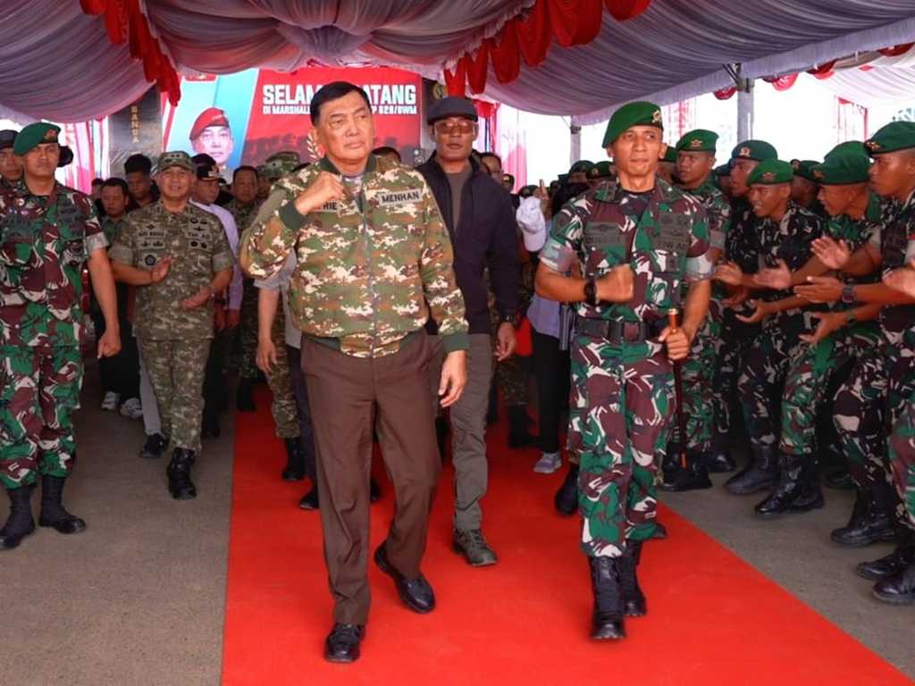 Search image article