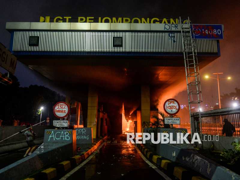 Search image article