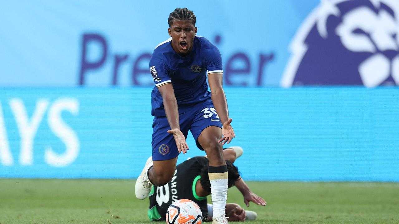 Search image article