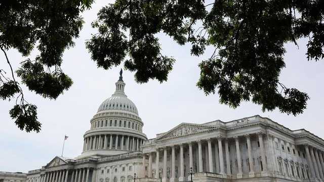 Search image article