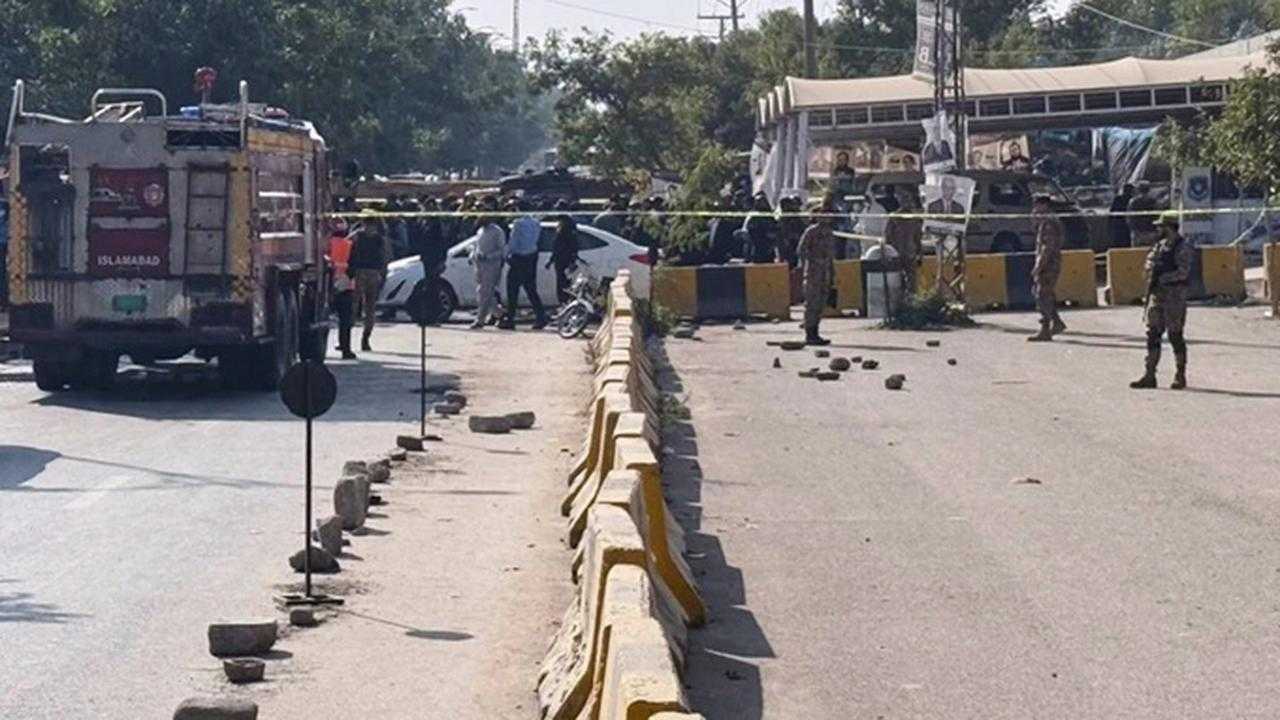 Search image article